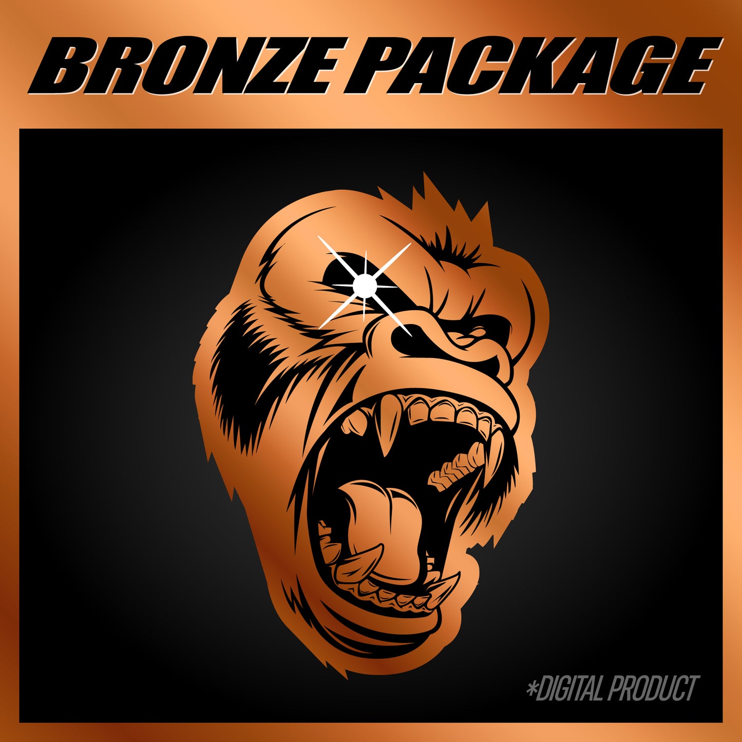 BRONZE PACKAGE